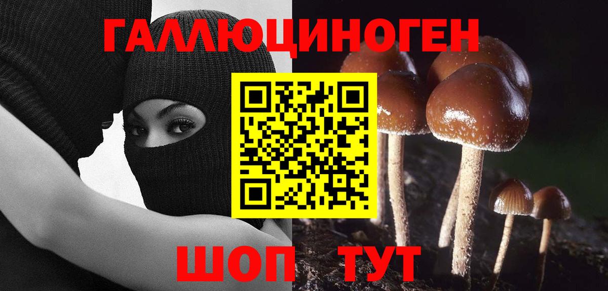 Владикавказ  Галлюциногенные грибы мицелий  Вход с VPN 
